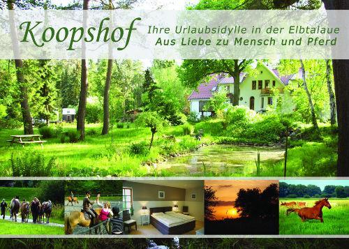Sternenhimmel Apartment Bleckede Exterior foto